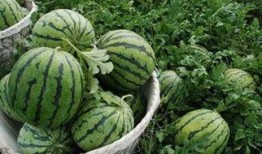 热门大瓜top10,揭秘娱乐圈风云变幻