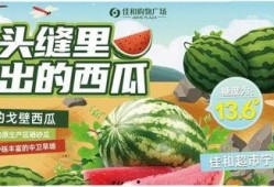 热门大瓜每日大赛,揭秘娱乐圈最新爆料，大赛精彩瞬间回顾