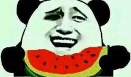 吃瓜有理报料无罪,揭秘网络舆论背后的真相